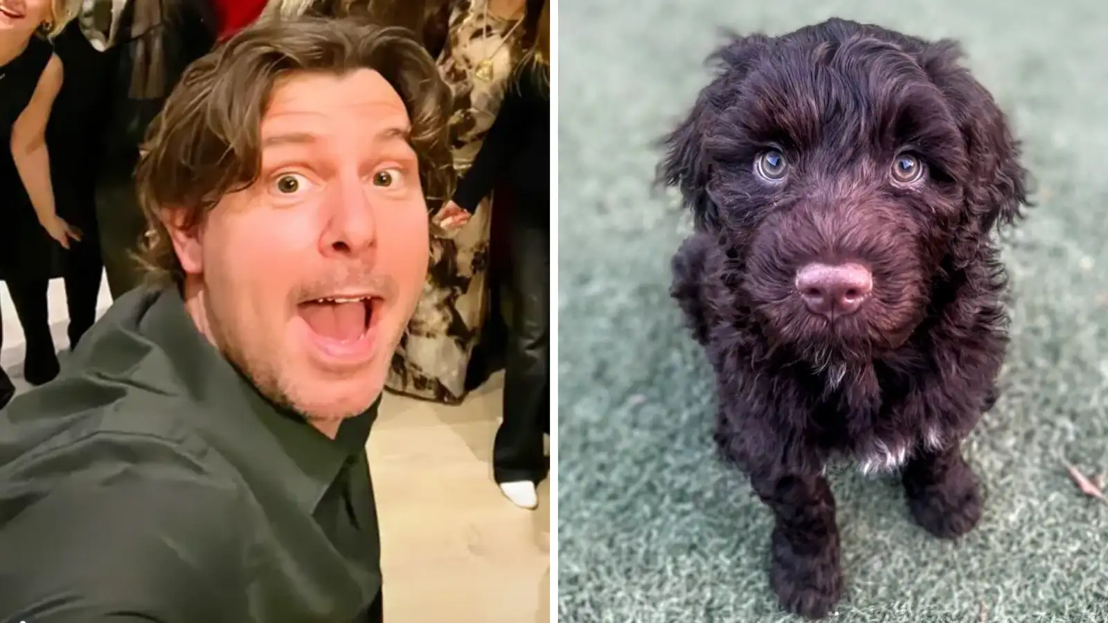 „Ég var ekkert að fylgjast með hundapöddunum“