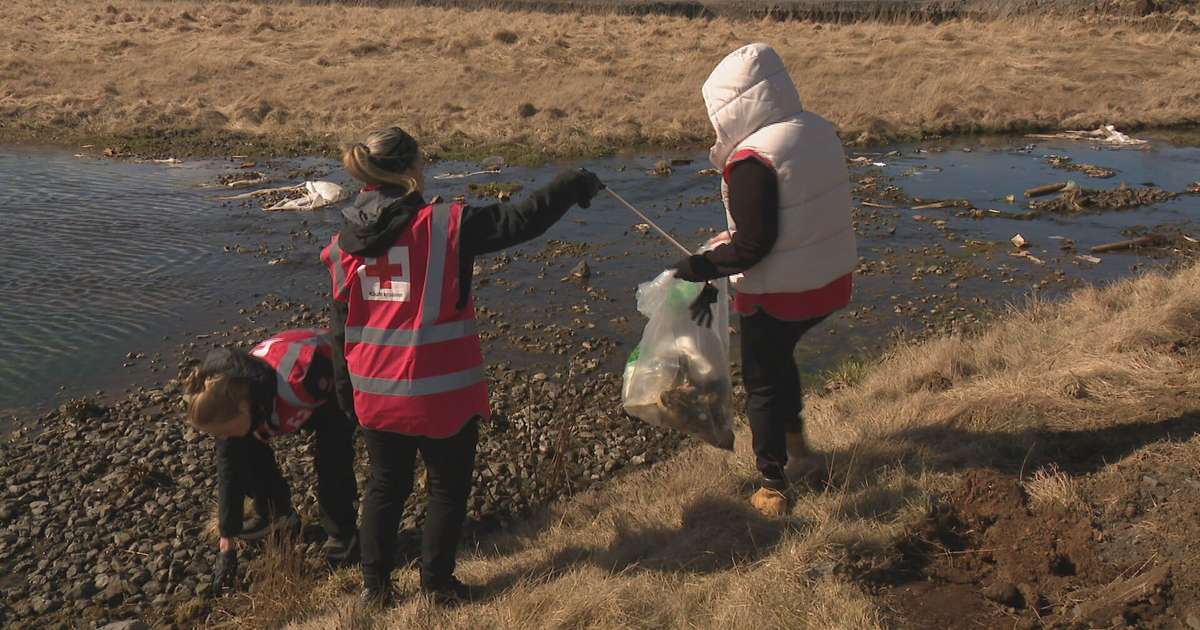 Stóri plokkdagurinn haldinn um allt land í dag - RÚV.is
