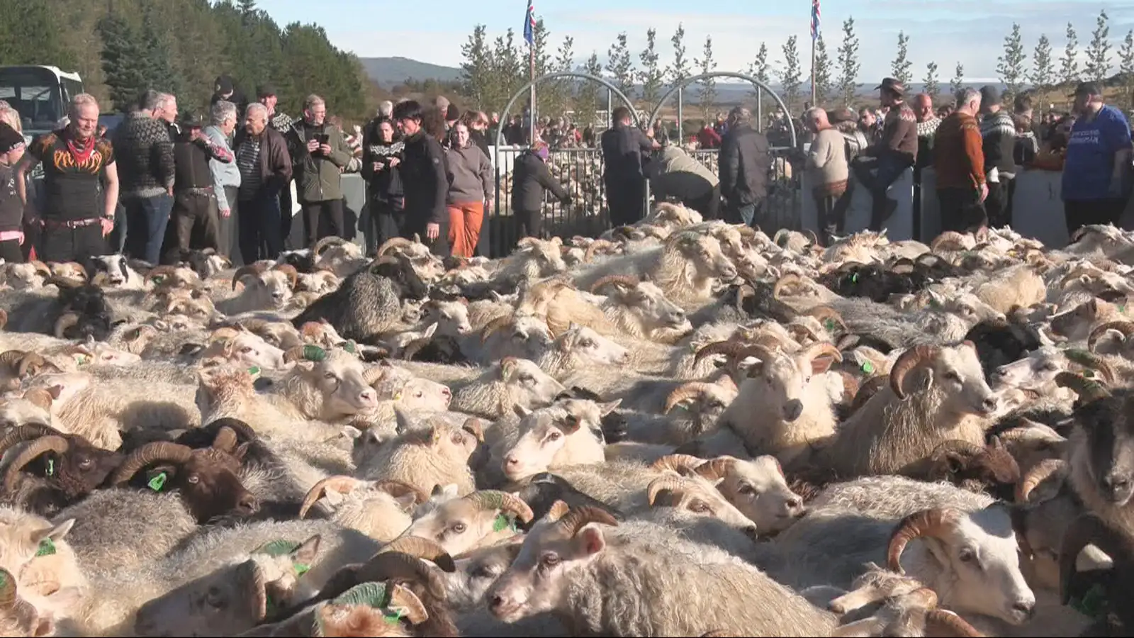 Söngur og gleði í Tungnaréttum: „Þetta eru jólin hjá okkur“