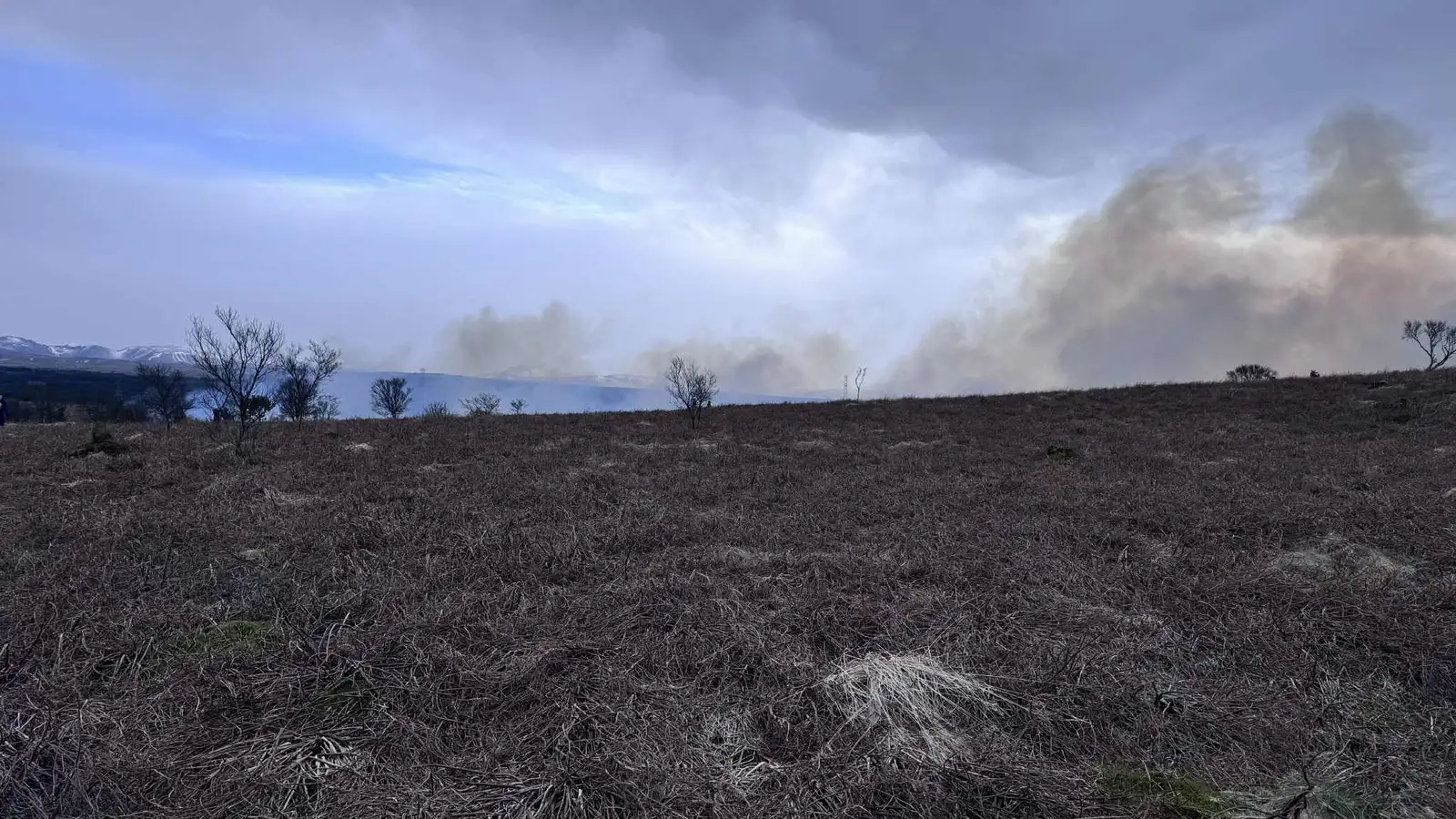 Vaxandi sinueldur sem erfitt er að ráða við