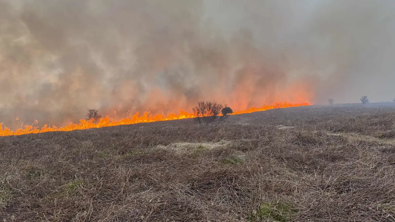Verðum að senda allt sem við eigum í þetta og meira til