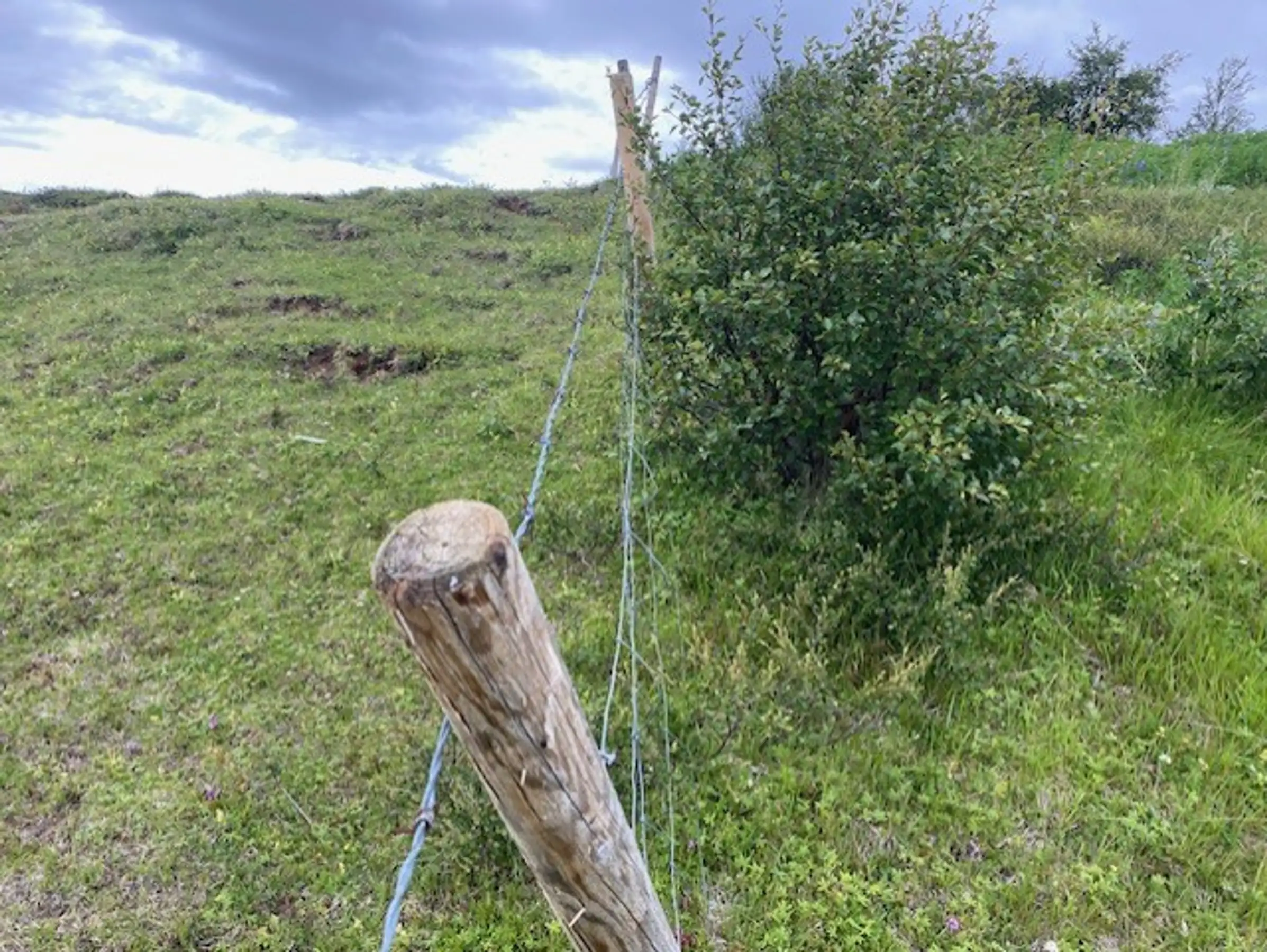 Myndin snir annars vegar jr sem hefur veri friu til skgrktar og svo beitiland. Landi er askili me giringu.