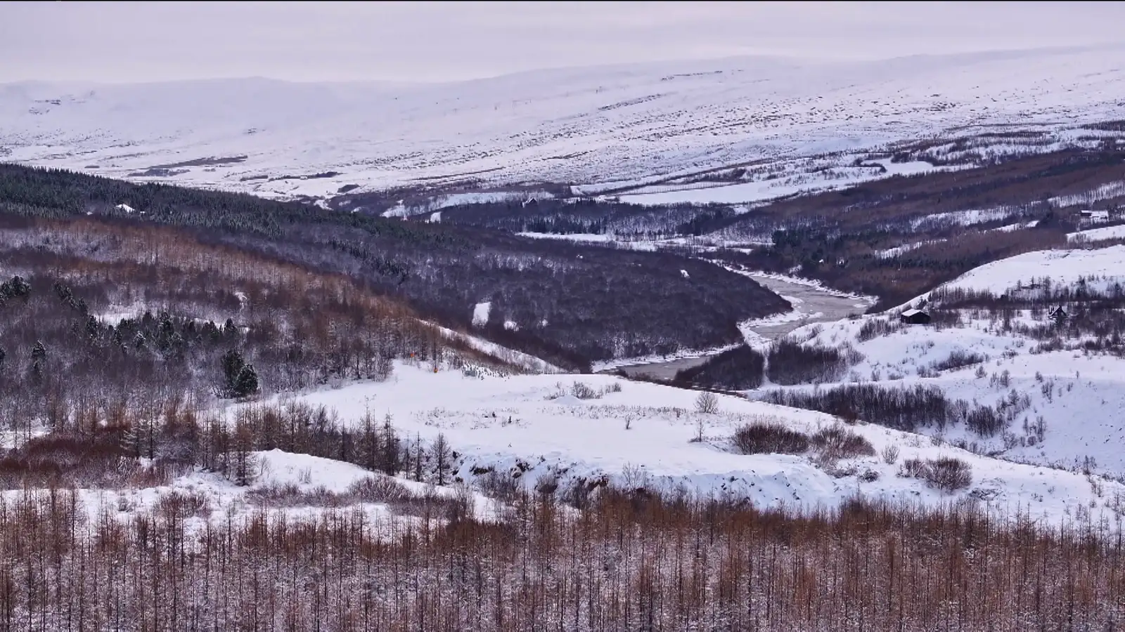 Vetrarkyrrð í Vaglaskógi