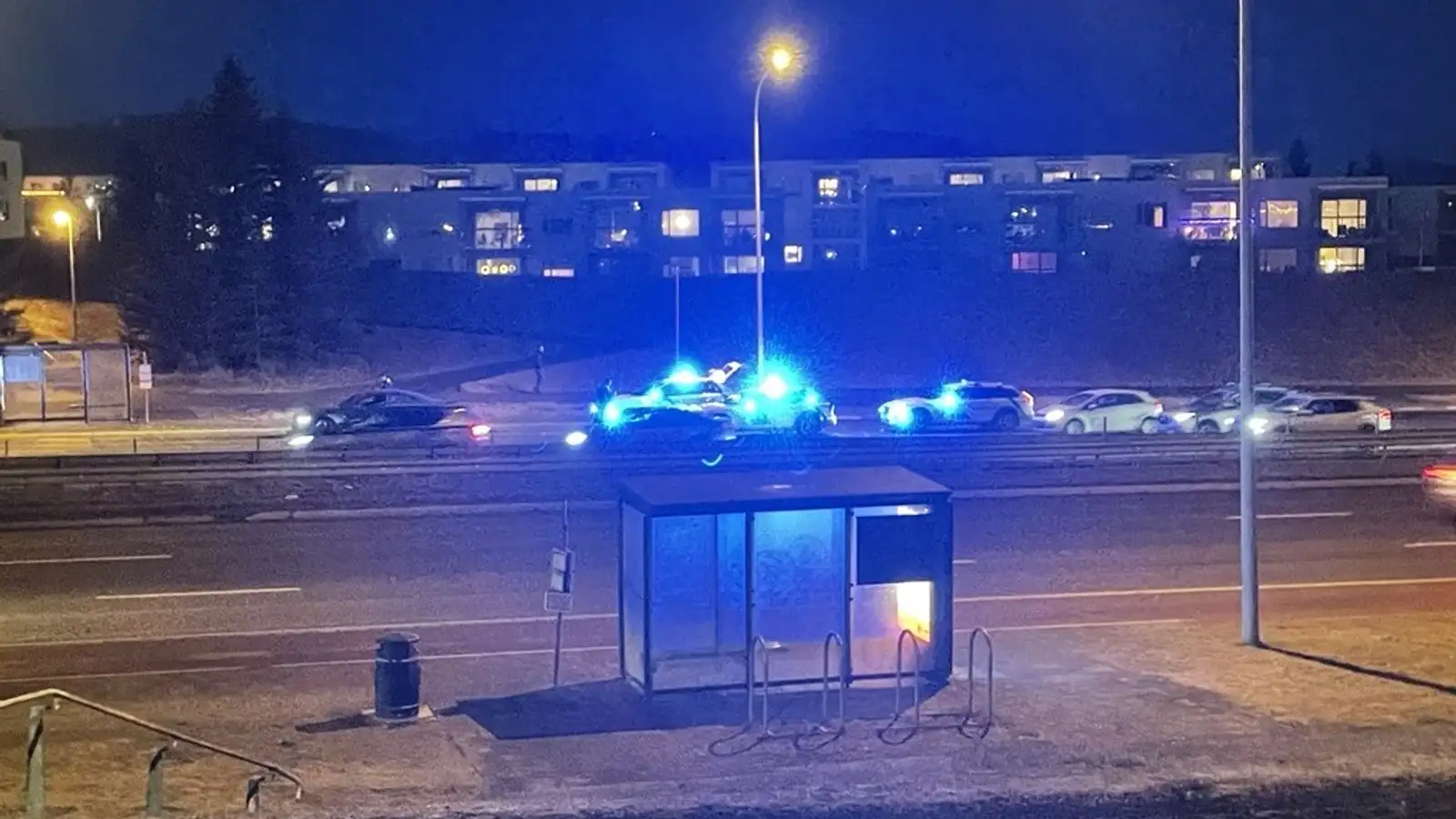 Lögregla stöðvaði bílaþjóf með naglamottu