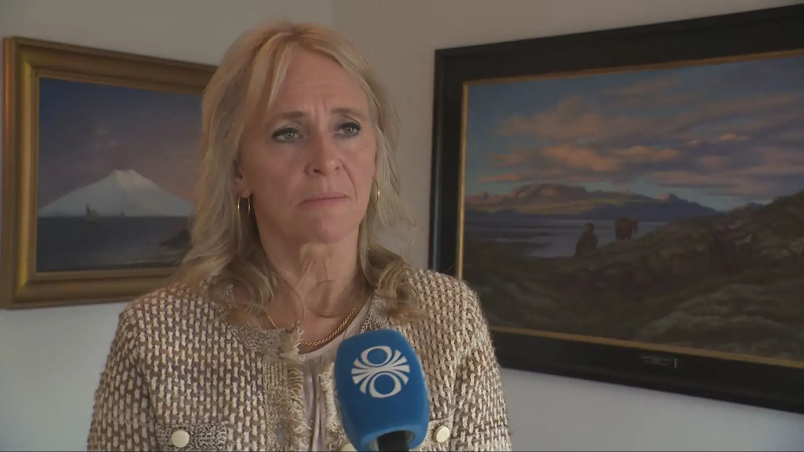 Have not discussed military equipment transport ban to Israel through Icelandic airspace