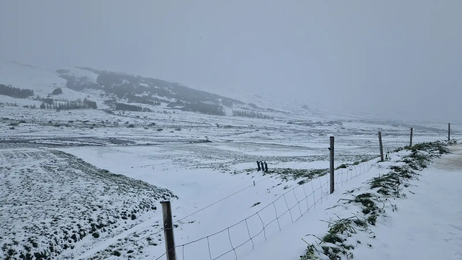 Gular viðvaranir í gildi víða á landinu í dag