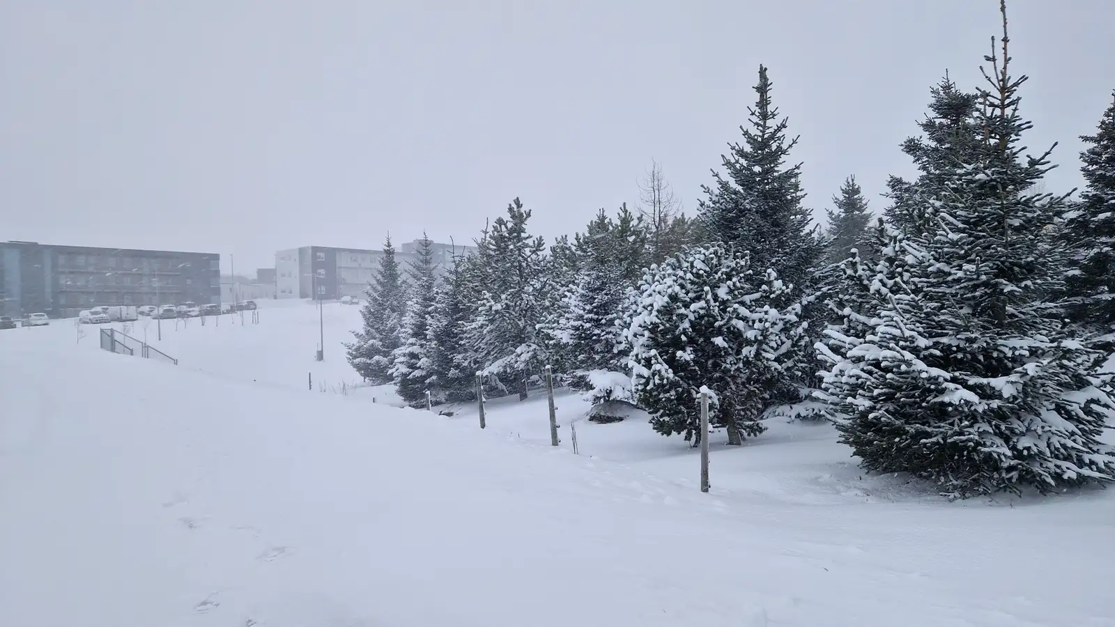 Allt að fimmtán stiga frost