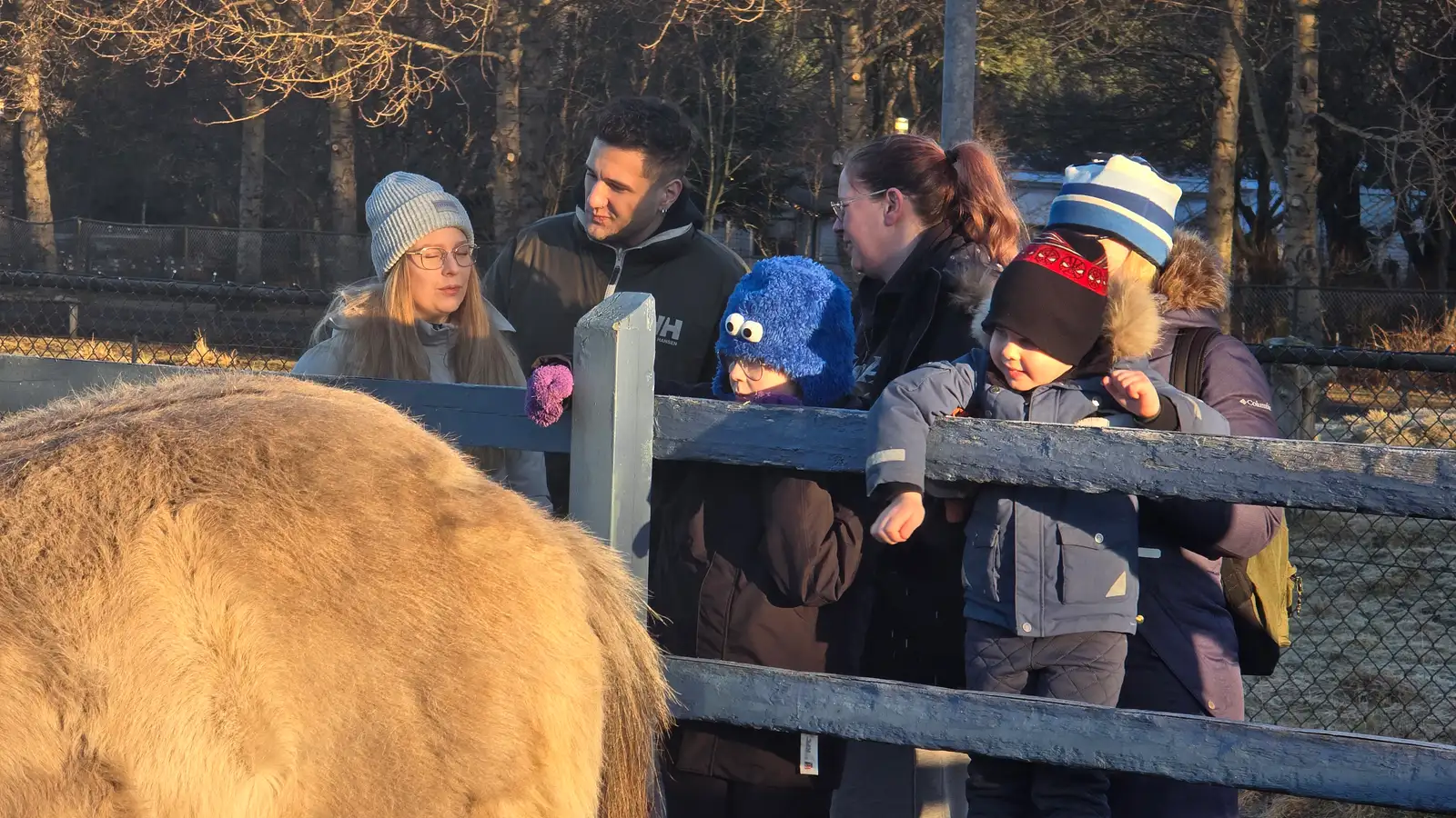 Frostlaust samfellt í þrettán daga í Reykjavík
