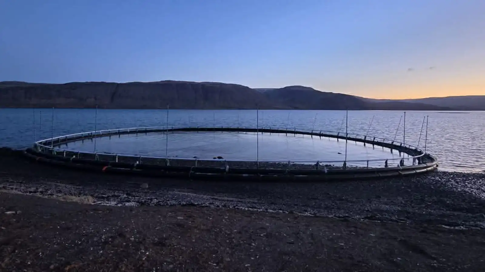 Lögregla rannsakar sjókví sem strandaði í Patreksfirði