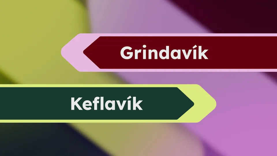 Mynd fyrir Landsleikarnir