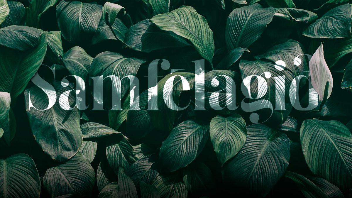 Samfélagið - Spilari RÚV
