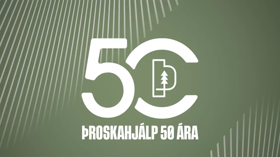 Mynd fyrir Við felldum múrana